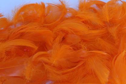 Daedal Dream Catchers Tangerian Orange Feather - Pack of Eight(370-400 no.Feathers)
