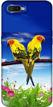 Flipkart SmartBuy Back Cover for Oppo K1