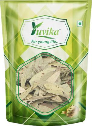 yuvika Senna | Sanay Leaves Spl. - Cassia Angustifolia - Senna Alexandrina Seed