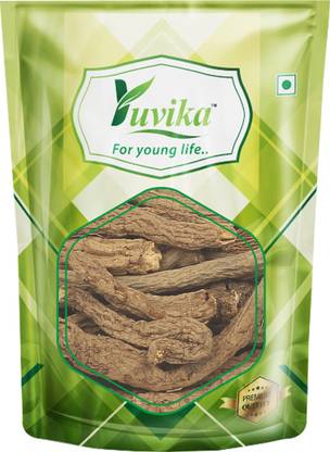 yuvika YUVIKA Akarkara Asli - Anacyclus Pyrethrum - Pellitory Root (50 GM) Seed