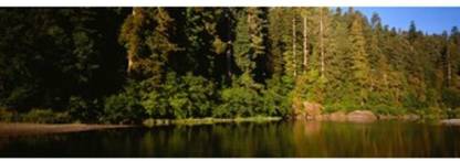 Reflection of trees in a river Smith River Jedediah Smith Redwoods State Park California USA Canvas Art - Panoramic Images (18 x 6) Canvas Art