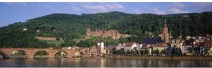 Germany Heidelberg Neckar River Canvas Art - Panoramic Images (18 x 6) Canvas Art