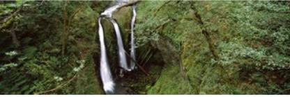 High angle view of a waterfall in a forest Triple Falls Columbia River Gorge Oregon USA Canvas Art - Panoramic Images (18 x 6) Canvas Art