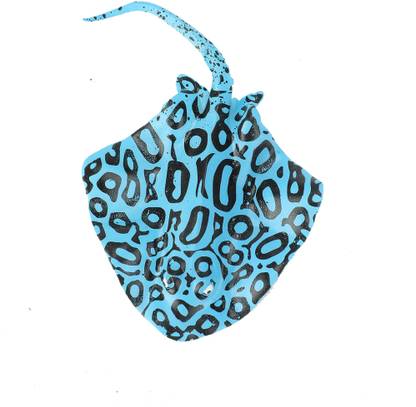 Flipkart SmartBuy Aquarium Silicone Manta Ray (Blue)