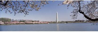 Cherry blossom with monument in the background Washington Monument Tidal Basin Washington DC USA Canvas Art - Panoramic Images (18 x 6) Canvas Art
