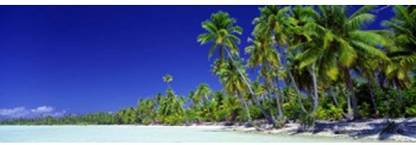 Beach With Palm Trees Bora Bora Tahiti Canvas Art - Panoramic Images (18 x 6) Canvas Art