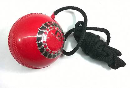 Red Lion Hanging Ball - Practice Ball or Knocking Ball with 2 Meter Rope Cricket Training Ball