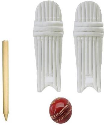 SW leather ball pads and 1 wicket Cricket Kit