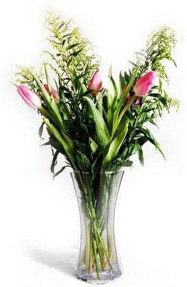 Aakriti Transparent Glass Flower Vase Hexagonal Shaped Glass Vase