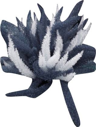 Nema Perennial Foxtail Ferns Seeds - White and Greyish -100 Pcs Seed