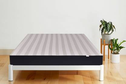 SPRINGTEK Dreamer 100% PURE Latex 8 inch King Latex Foam Mattress
