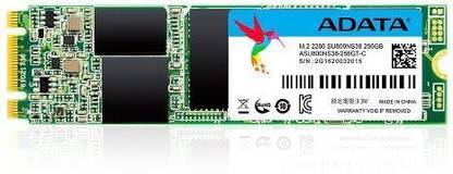 ADATA Ultimate SU800 256 GB Laptop Green SATA Internal Solid State Drive (SSD) (ASU800NS38-256GT-C)