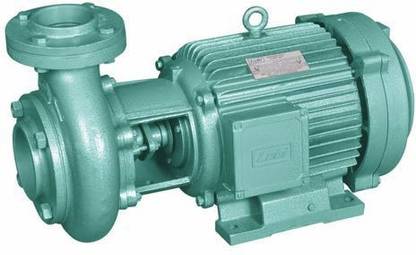 LUBI LBH-2 Centrifugal Water Pump