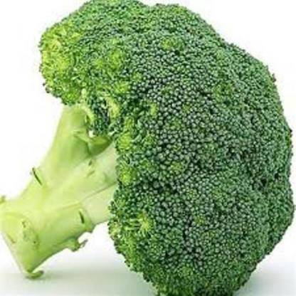 kudrati Brocolli Seed
