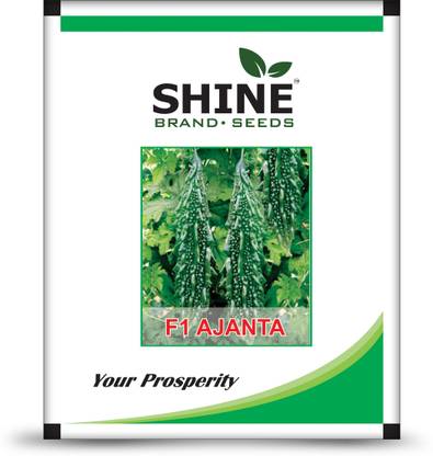 SHINE BRAND SEEDS Bitter Gourd F1 Hybrid Seeds Ajanta (10 Gm) Seed