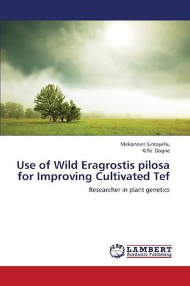 Use of Wild Eragrostis Pilosa for Improving Cultivated Tef