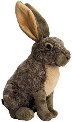 WILD REPUBLIC Hare Plush, Stuffed Animal, Plush Toy, Kids Gifts, Cuddlekins, 12 Inches  - 36.83 cm