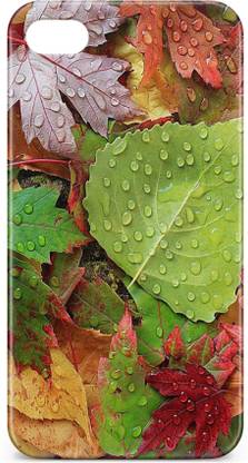 Accezory Back Cover for Apple iPhone 4, Apple iPhone 4s, BACK COVER, PRINTED CASES & COVERS, DESIGNER Back Cover