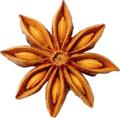 Redoak Star Anise Seeds - 10g Seed
