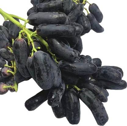 Nema Black Banana' Grape Seeds - 20 Pcs Seed