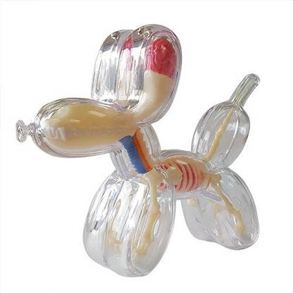 4D Master Mini Balloon Dog Skeleton Anatomy Model by Jason Freeny