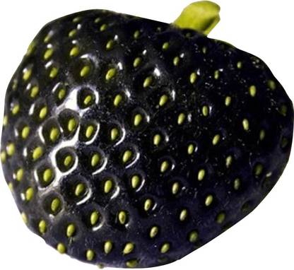 Redoak Exotic Strawberry Seeds-Black Seed