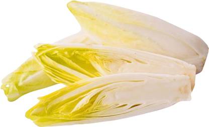 FUTABA Chicory Belgian Endive Vegetable Seeds Seed