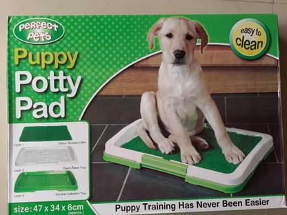 Medigo potty patch small Dog Pet Mat
