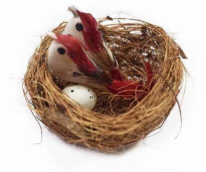 LALA LAND Bird Nest with egg craft Size- 7*7*3
