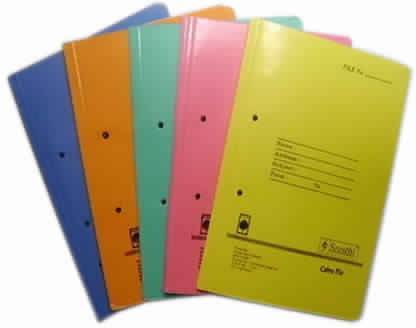 Excel Paper Paper Cobra Files with Spring Inside(Pack of 10)
