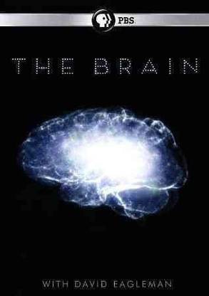 BRAIN WITH DAVID EAGLEMAN