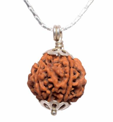 Parashara ARKAM Five Mukhi Rudraksha with Silver Pendant and Silver Chain / Original Nepali 5 Mukhi Rudraksha and detailed Puja and wearing instructions Wood Pendant