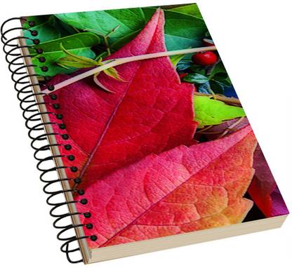 Diagon Alleys Designer Classic A5 Notebook Single Rule 100 Pages