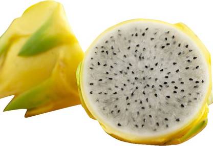 Nema Yellow Dragon Fruit Pitaya Organic Seeds - 30 Pcs Seed