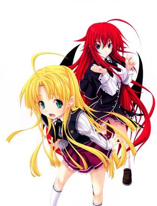 Athah Anime High School DxD Rias Gremory Asia Argento 13*19 inches Wall Poster Matte Finish Paper Print