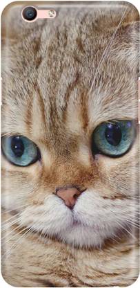 DigiMart Back Cover for VIVO Y55, Vivo Y55 BACK CASE COVER, Vivo Y55 Designer Cases & Covers