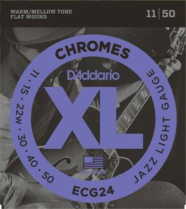 D'ADDARIO Electric ECG24 Guitar String