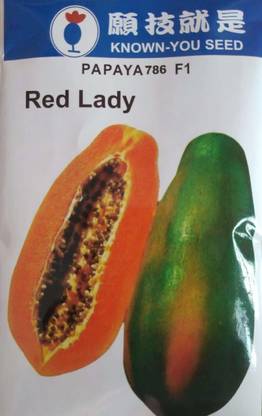 PEARL RED LADY PAPAYA 786 F1 HYBRID SEEDS TAIWAN Seed