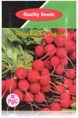 VibeX ™ CBZ-402 Hybrid Radish Scarlet Globe Seed Seed