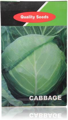 VibeX CABBAGE Seed