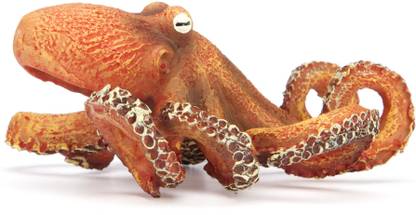Flipkart SmartBuy - Aquarium Decor - Octopus
