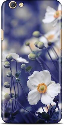 Flipkart SmartBuy Back Cover for Oppo R9s Plus