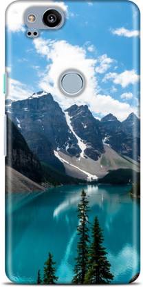 Flipkart SmartBuy Back Cover for Google Pixel 2
