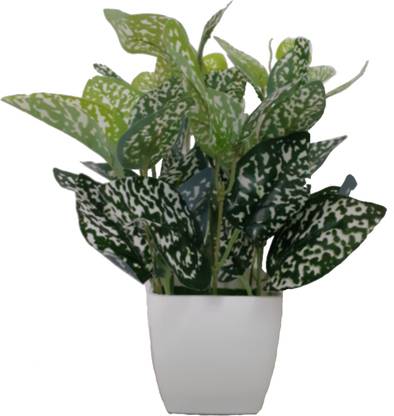 BK Mart Natural Looking Money Plant Bonsai Artificial Plant  with Pot