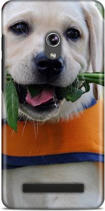 Flipkart SmartBuy Back Cover for Asus ZenFone 5 A501CG 5.0 In