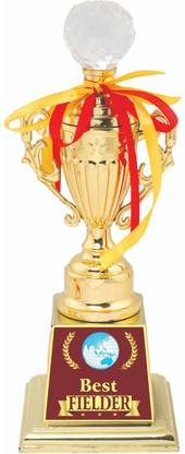 AARK INDIA Cricket 1St Place Competition :Award (PC00871) Trophy
