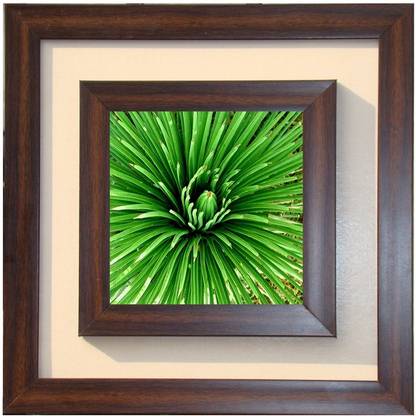 The Craft Company Lila Paintings Canvas 18 inch x 18 inch Painting