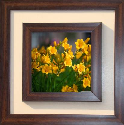 The Craft Company Lila Paintings Canvas 15 inch x 15 inch Painting