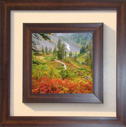 The Craft Company Lila Paintings Canvas 15 inch x 15 inch Painting