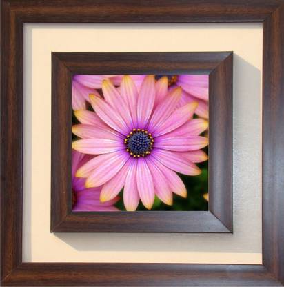 The Craft Company Lila Paintings Canvas 15 inch x 15 inch Painting
